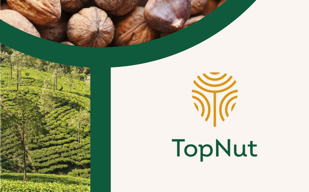 TopNut branding and website overview